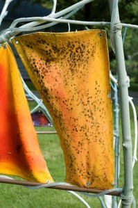 Weathering of canvas