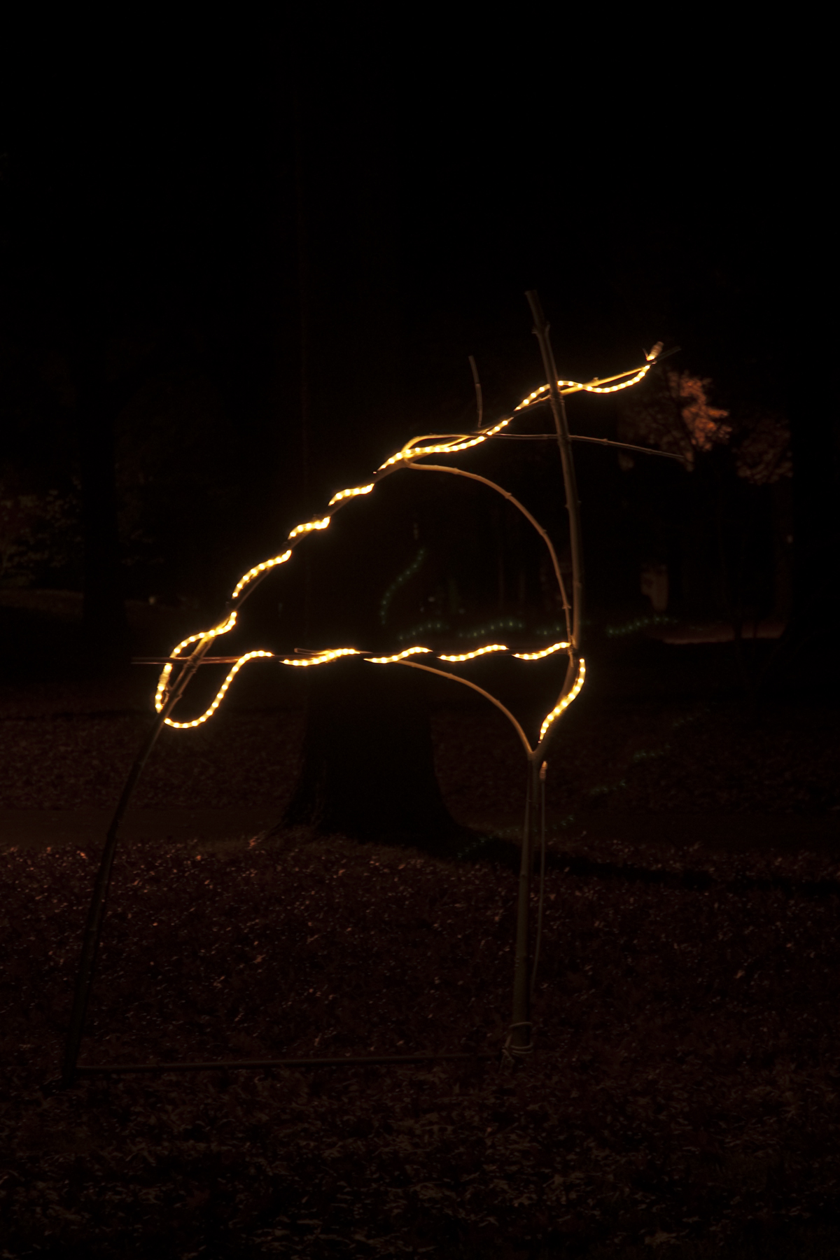 One illuminated One illuminated