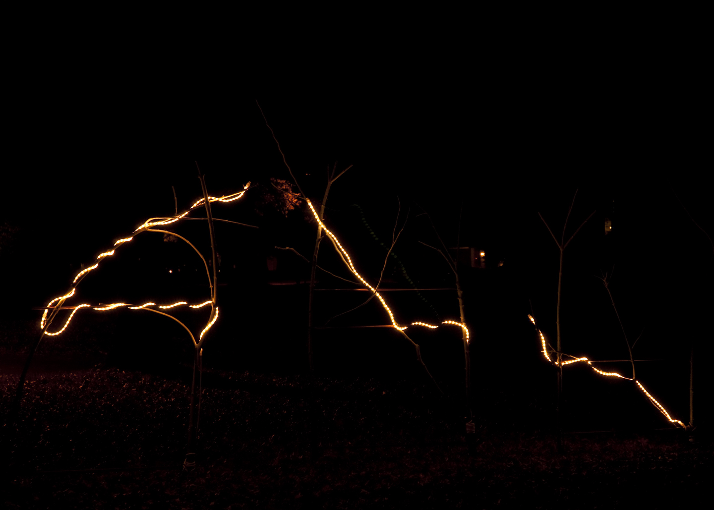 Three illuminated Three illuminated